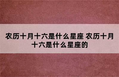 农历十月十六是什么星座 农历十月十六是什么星座的